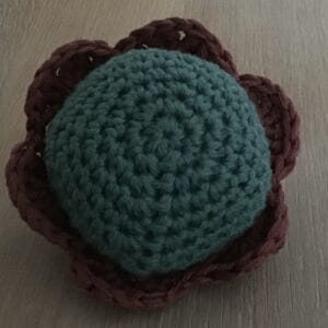 Nålepute