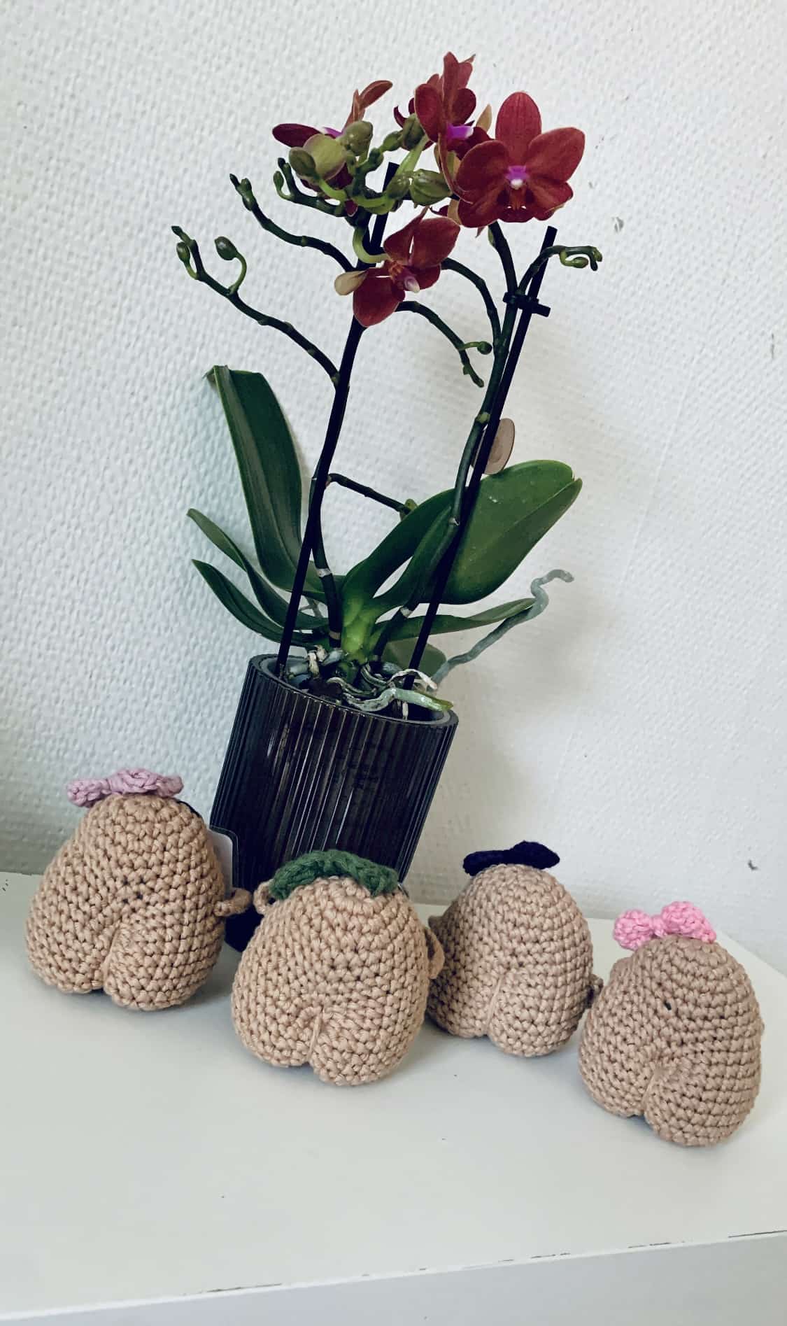 Sjarmerende rumpe-poteter - Bilde 5