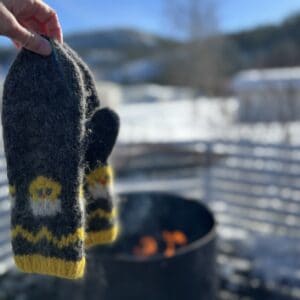 Oppskrift på tova påskevotter