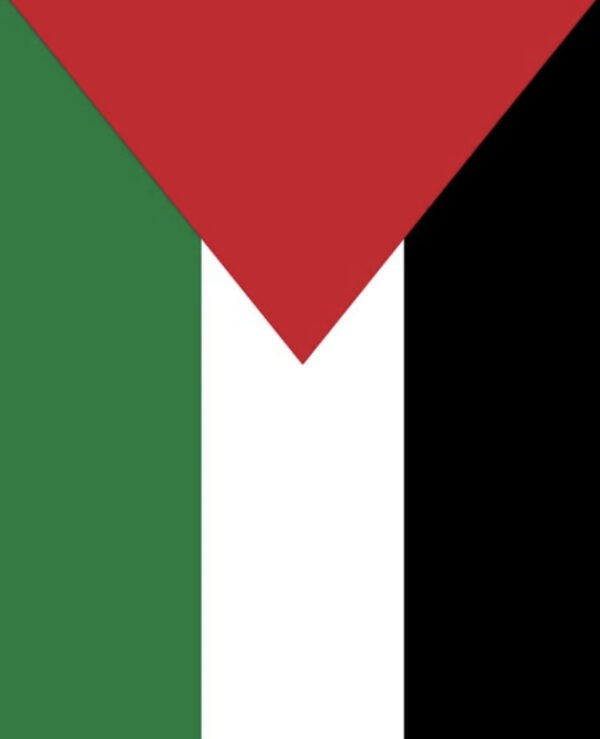 Vannmelon-nøkkelring med Palestina-tag - Bilde 8