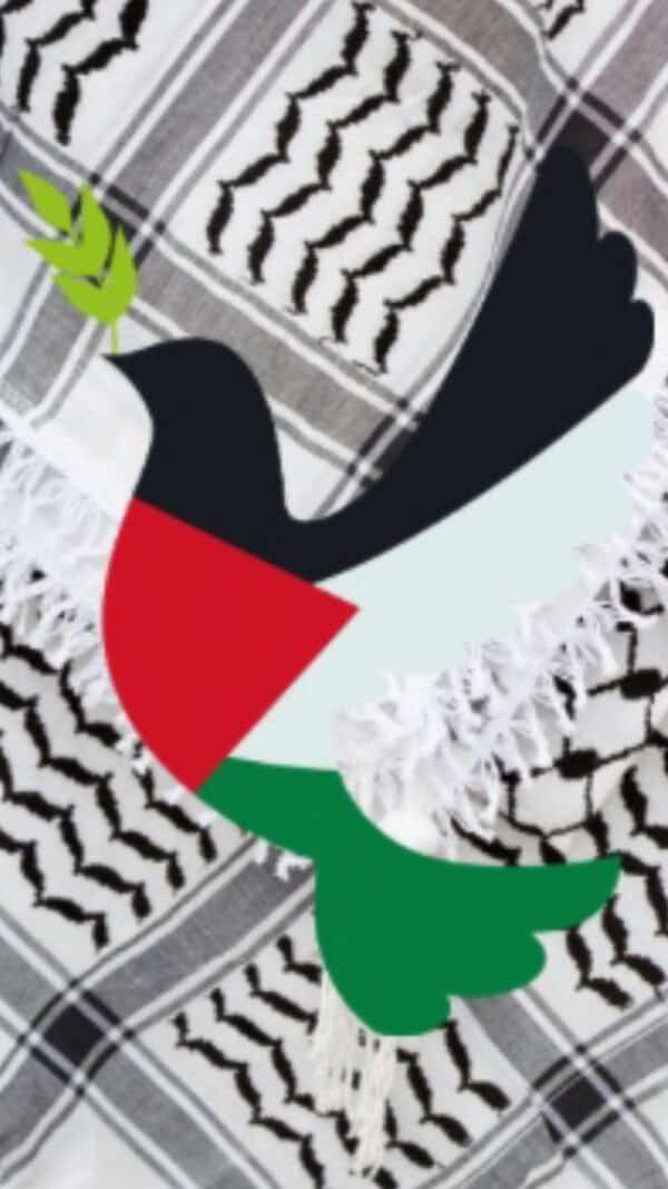 Vannmelon-nøkkelring med Palestina-tag - Bilde 6