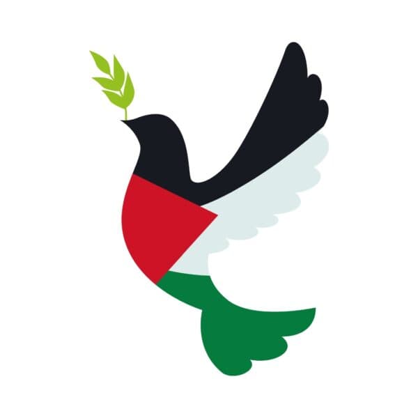 Vannmelon-nøkkelring med Palestina-tag - Bilde 4