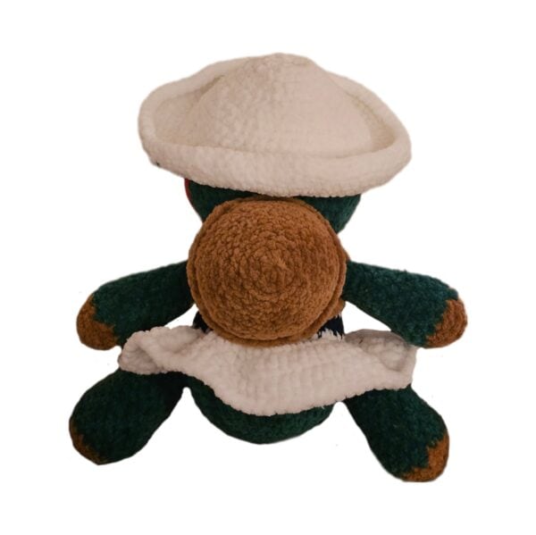 Cleo the turtle - Bilde 2