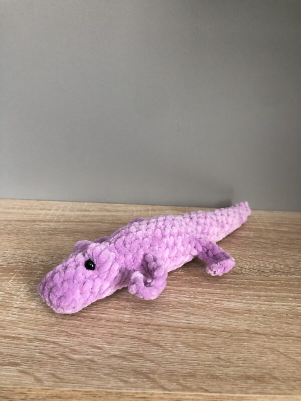 Krokodille eller alligator - Bilde 2