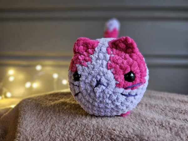 Chubby katt