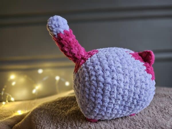 Chubby katt - Bilde 3