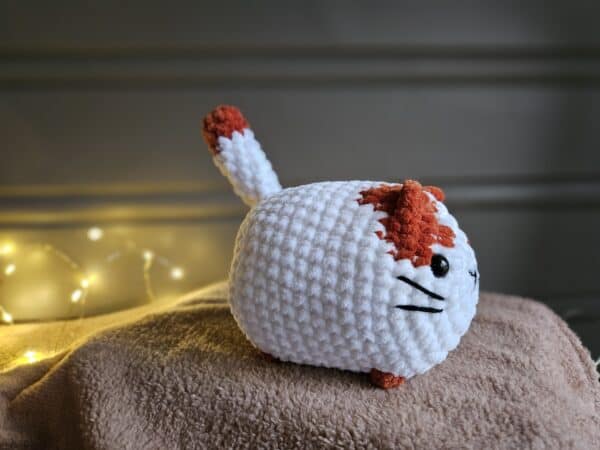 Chubby katt - Bilde 2