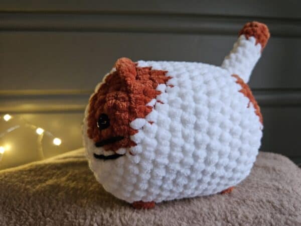 Chubby katt - Bilde 3
