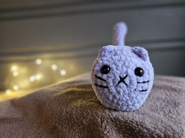 Chubby katt, liten