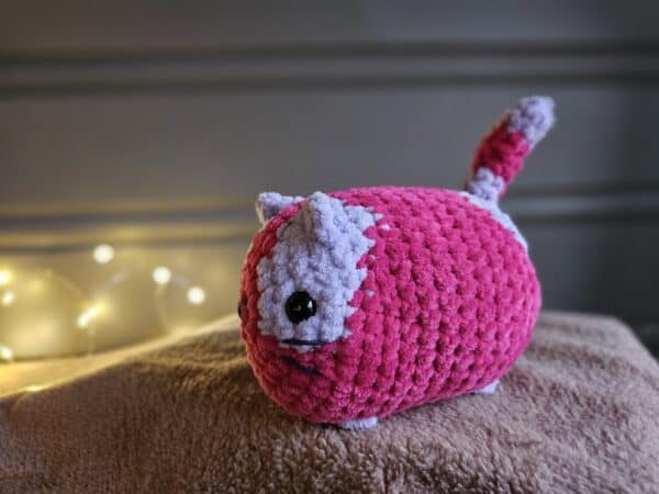 Chubby katt - Bilde 2