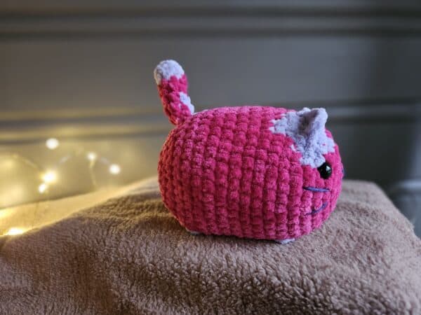 Chubby katt - Bilde 3