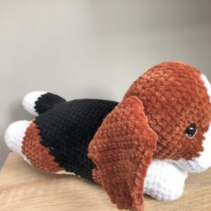 Hund beagle