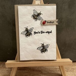 Kort med blomsterfrø - oppmerksomhet
