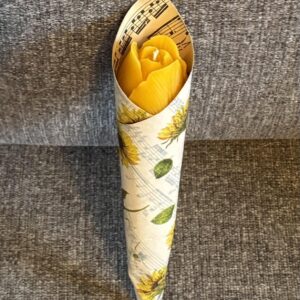 Bivokslys - tulipan, bukettpakket