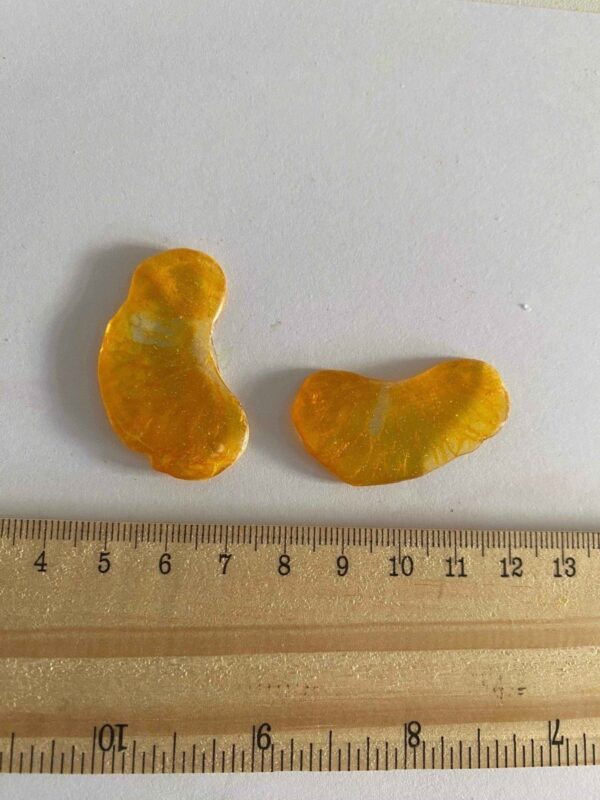 KLEMENTIN øredobber, ekte tørket frukt, 925 sølv ørekroker - Bilde 2