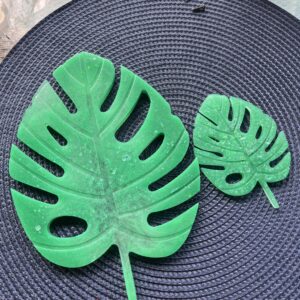 Monstera blader