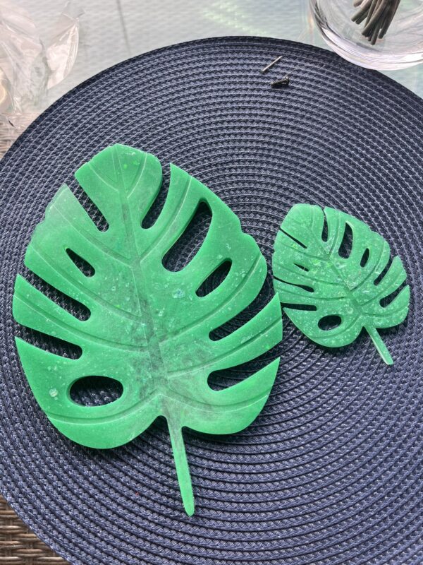 Monstera blader