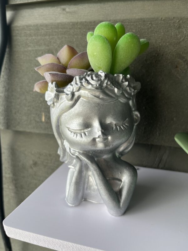 2stk blomsterpotter
