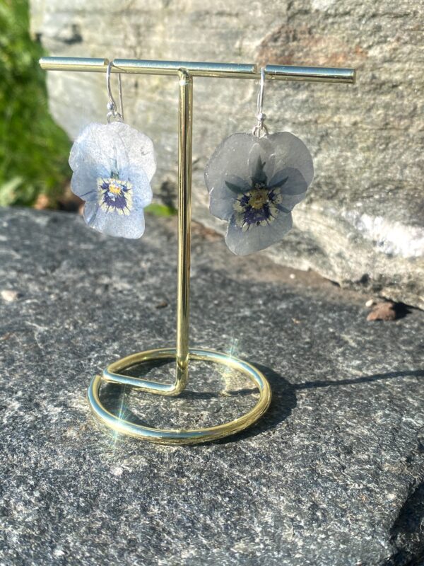 LAVENDELBLÅ FIOLER øredobber, ekte tørket stemorsblomst, 925 sølv ørekroker