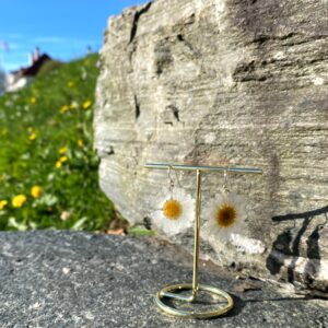 MARGERITT øredobber, ekte tørkede blomster, 925 sølv ørekroker