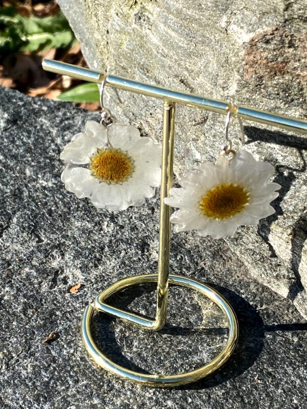 MARGERITT øredobber, ekte tørkede blomster, 925 sølv ørekroker - Bilde 3