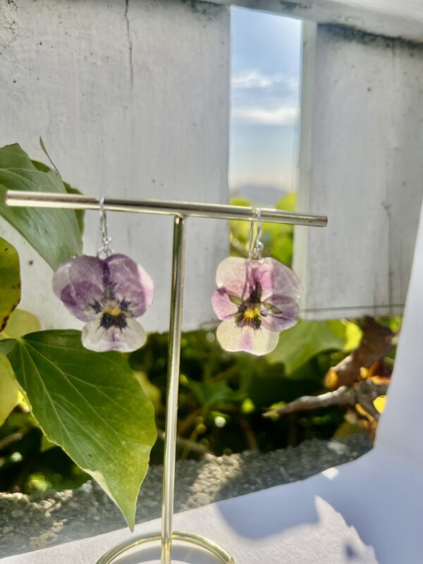 VIOLETTA FIOLER øredobber, ekte tørket stemorsblomst, 925 sølv ørekroker (Kopi) - Bilde 2