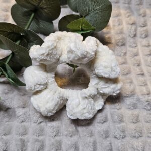 Scrunchie