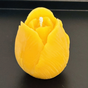 Bivokslys - liten tulipan