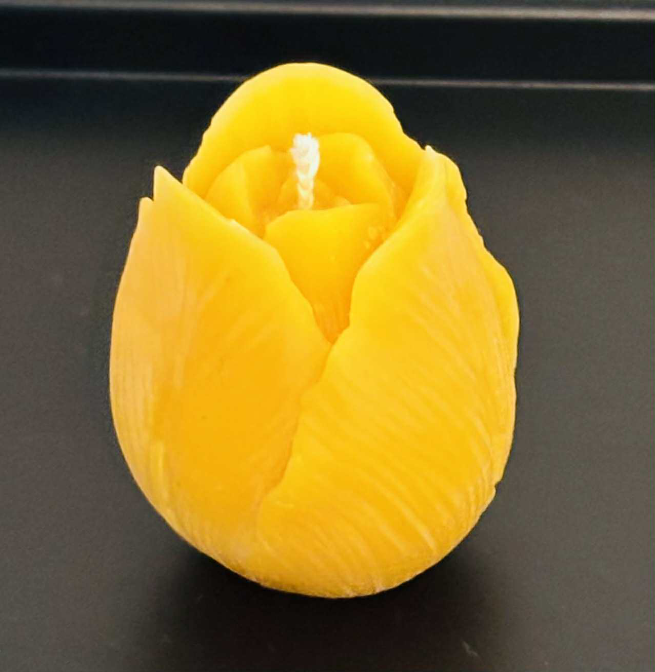 Bivokslys - liten tulipan