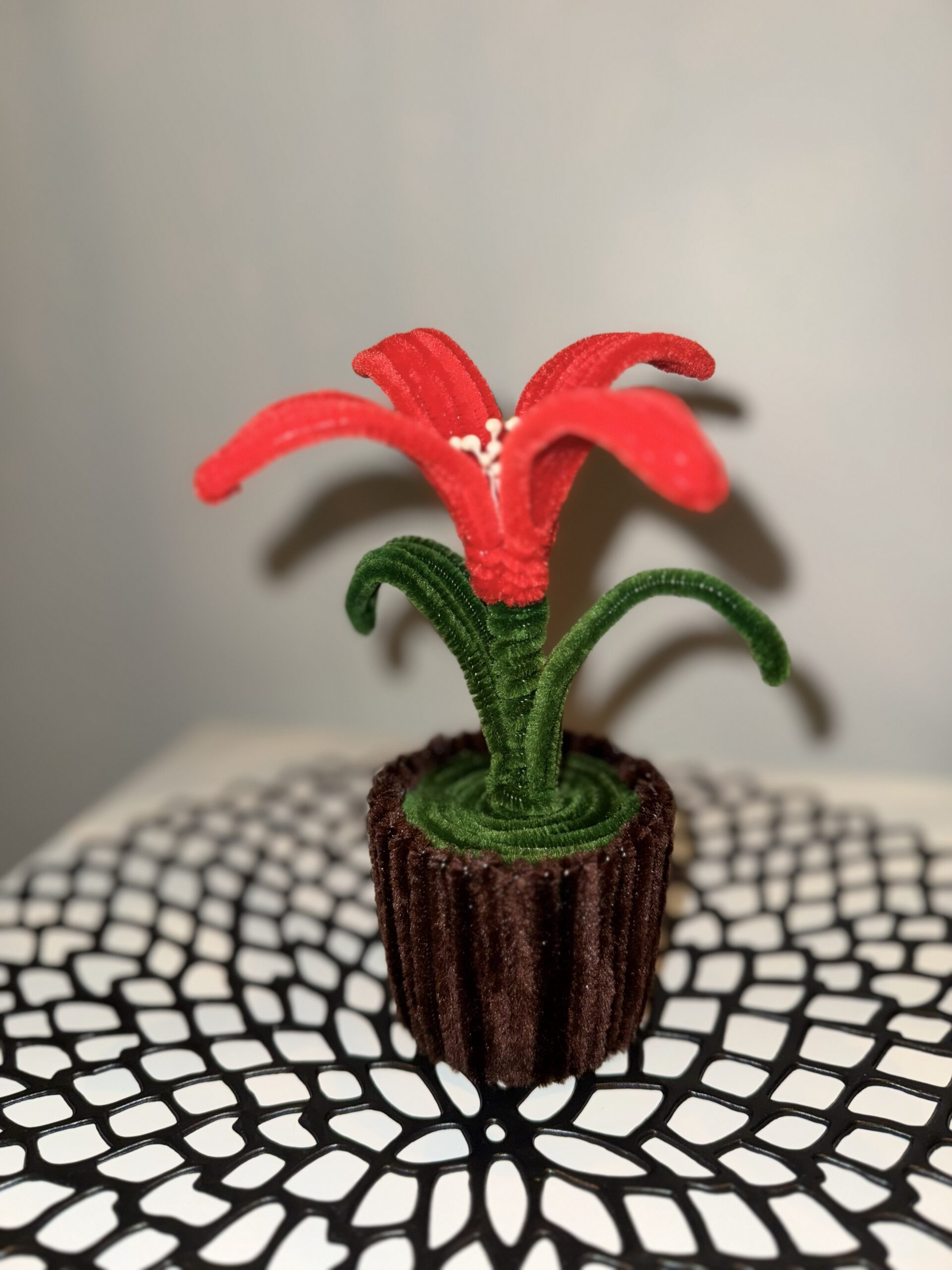 Blomst av piperensere - Bilde 2