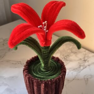 Blomst av piperensere