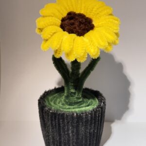 Solsikke i potte 🌻