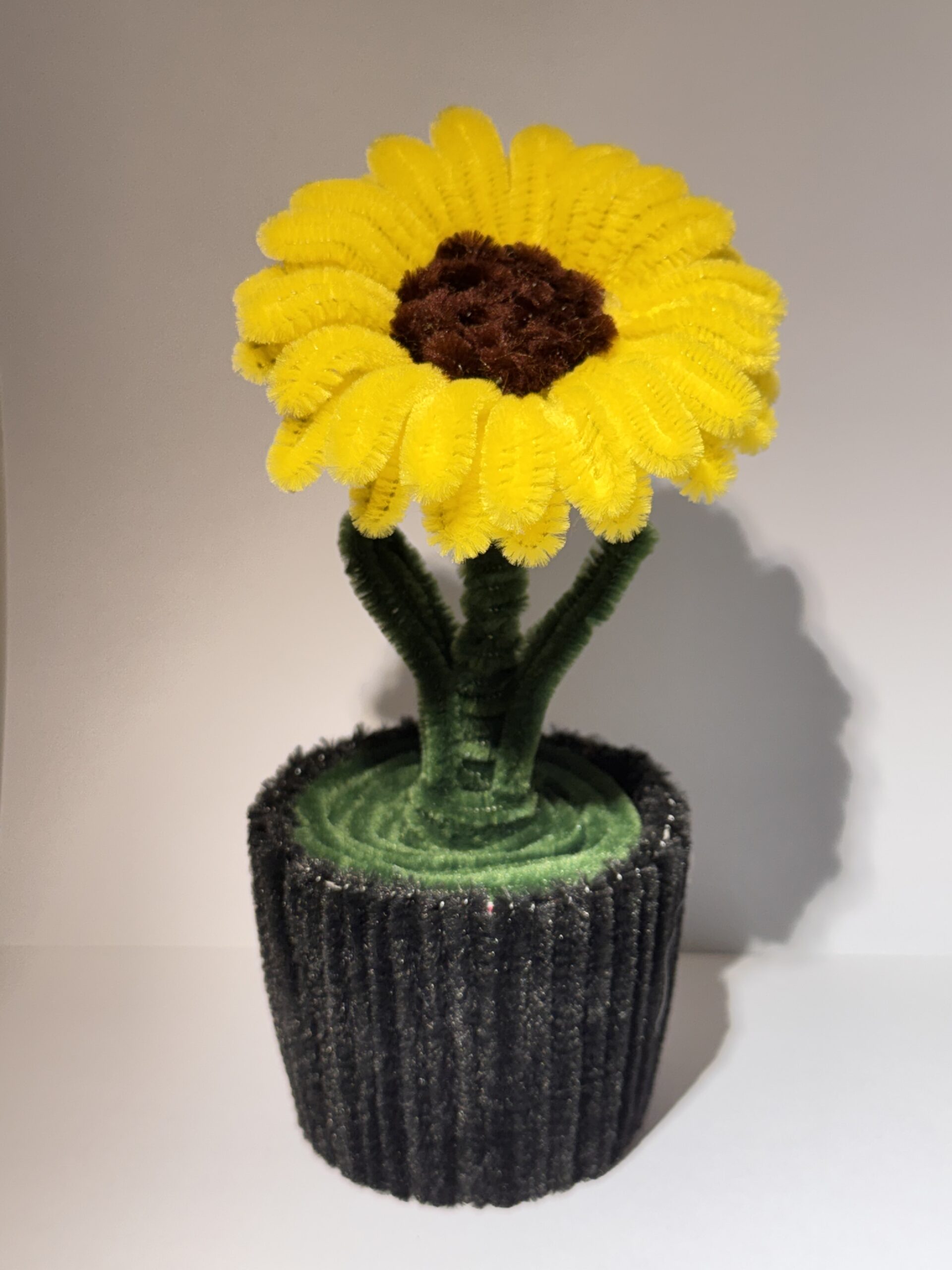 Solsikke i potte 🌻