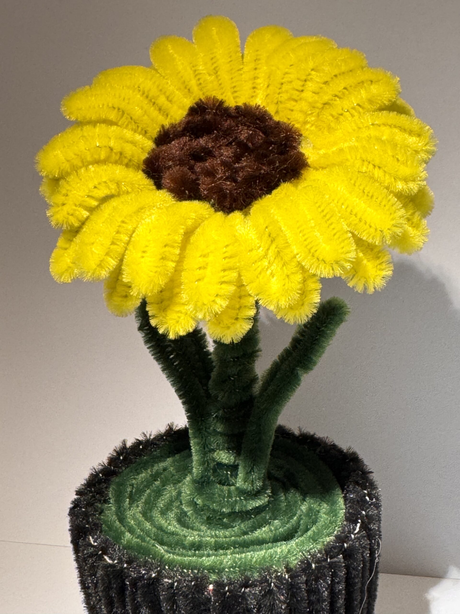 Solsikke i potte 🌻 - Bilde 5