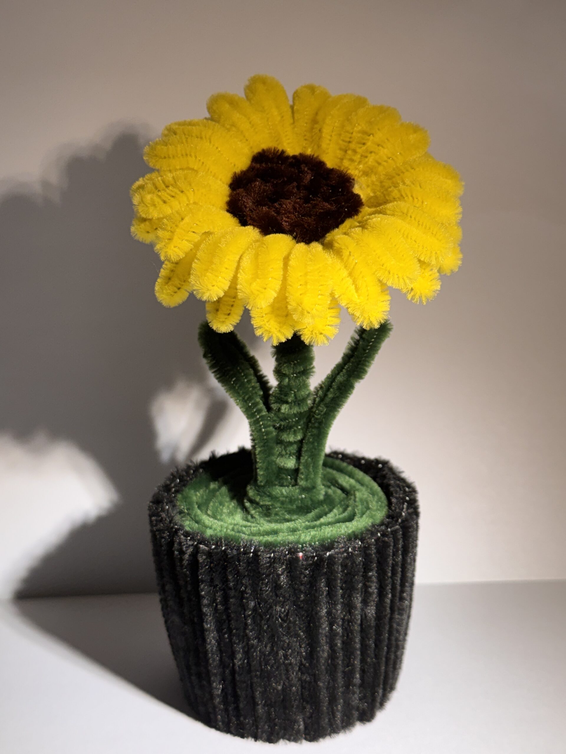 Solsikke i potte 🌻 - Bilde 3