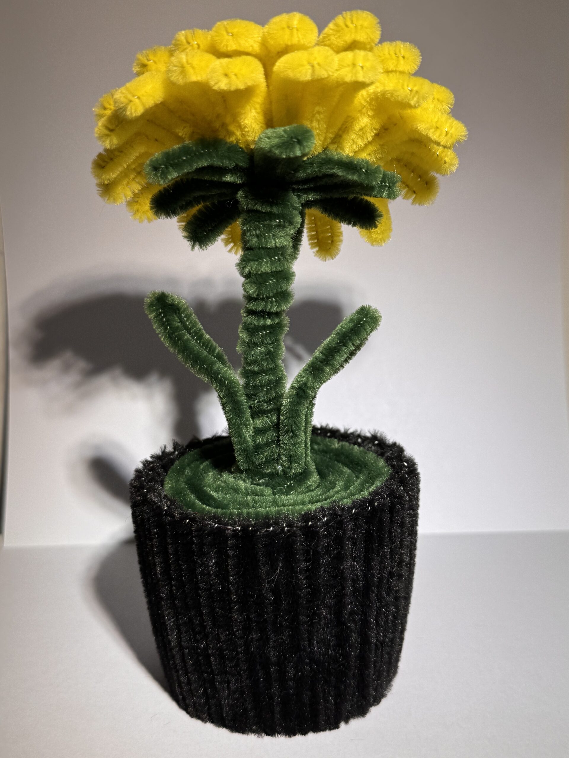 Solsikke i potte 🌻 - Bilde 2