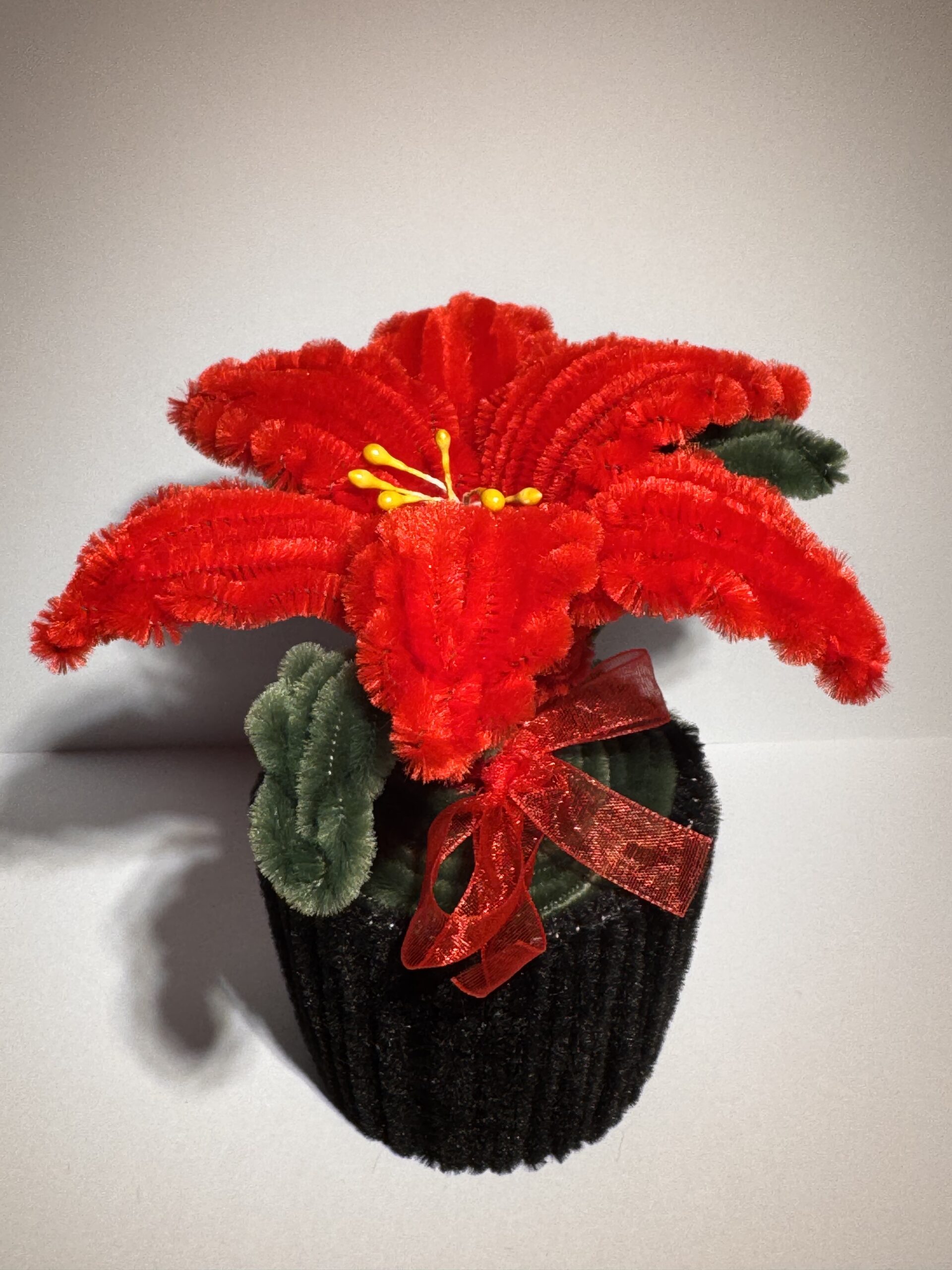 Julestjerne - Bilde 4