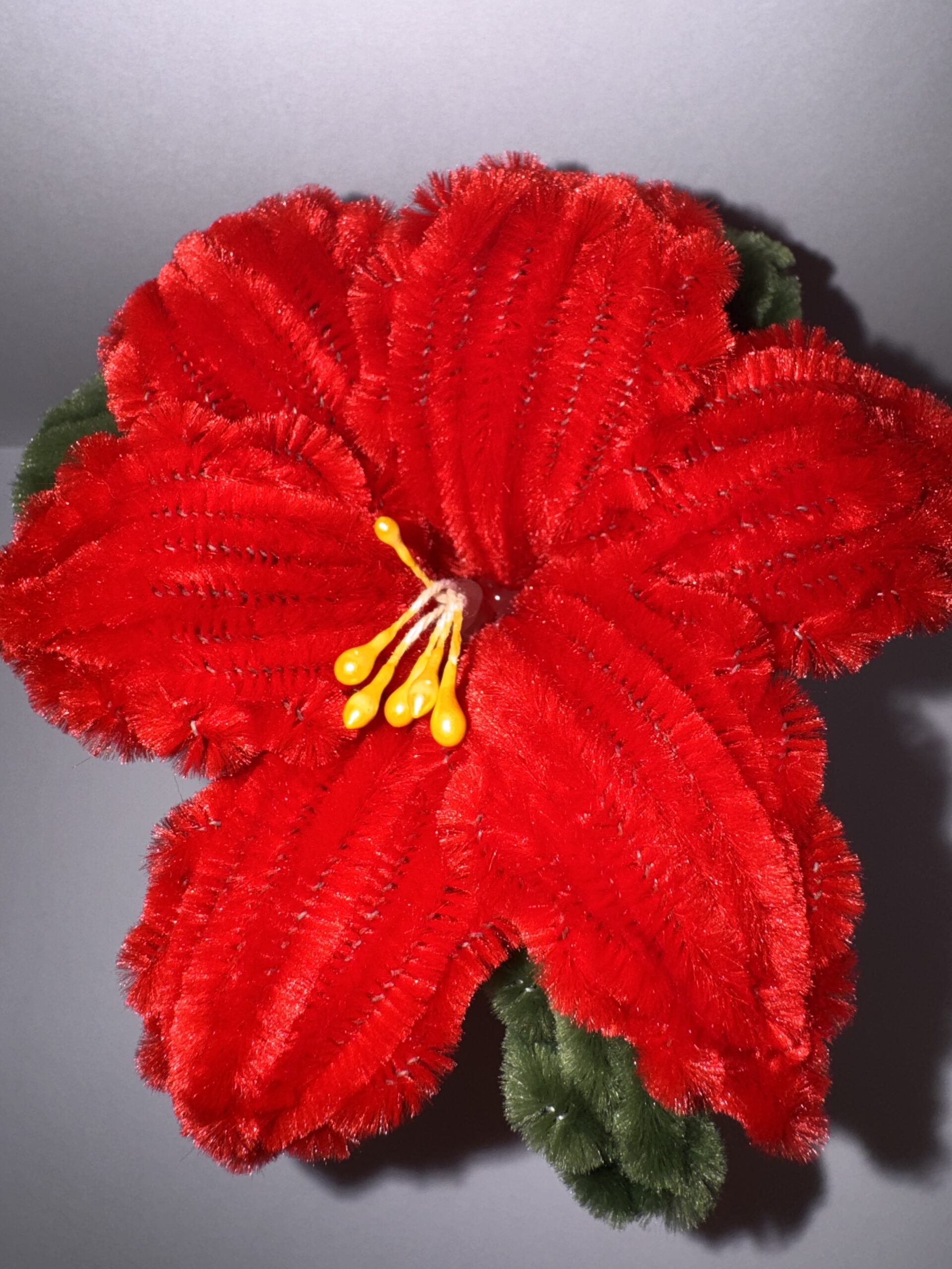 Julestjerne - Bilde 2