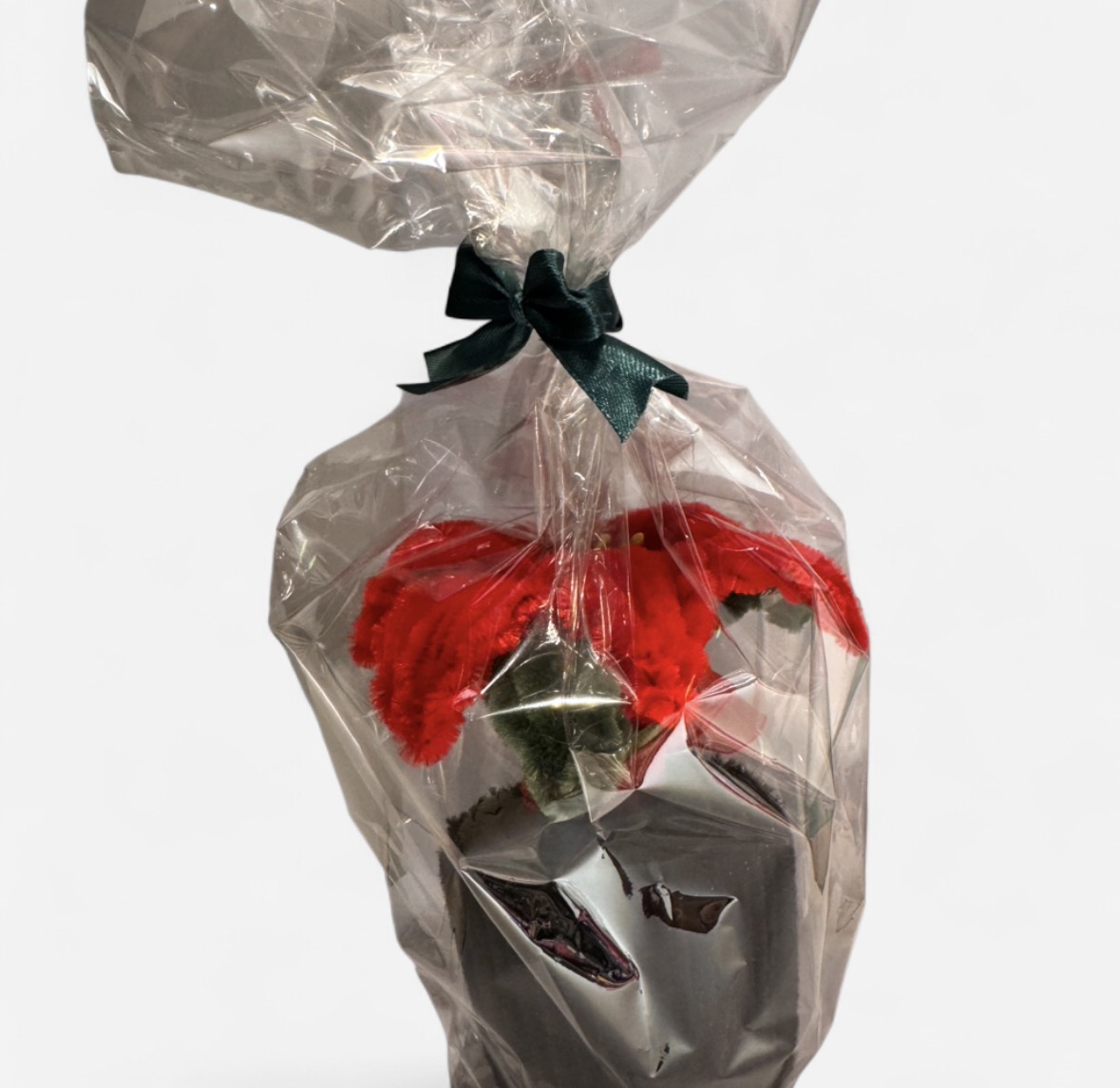 Julestjerne - Bilde 3