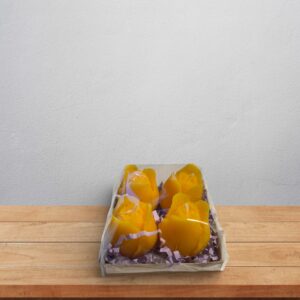 Bivokslys - Vårtulipaner, 4 stk.