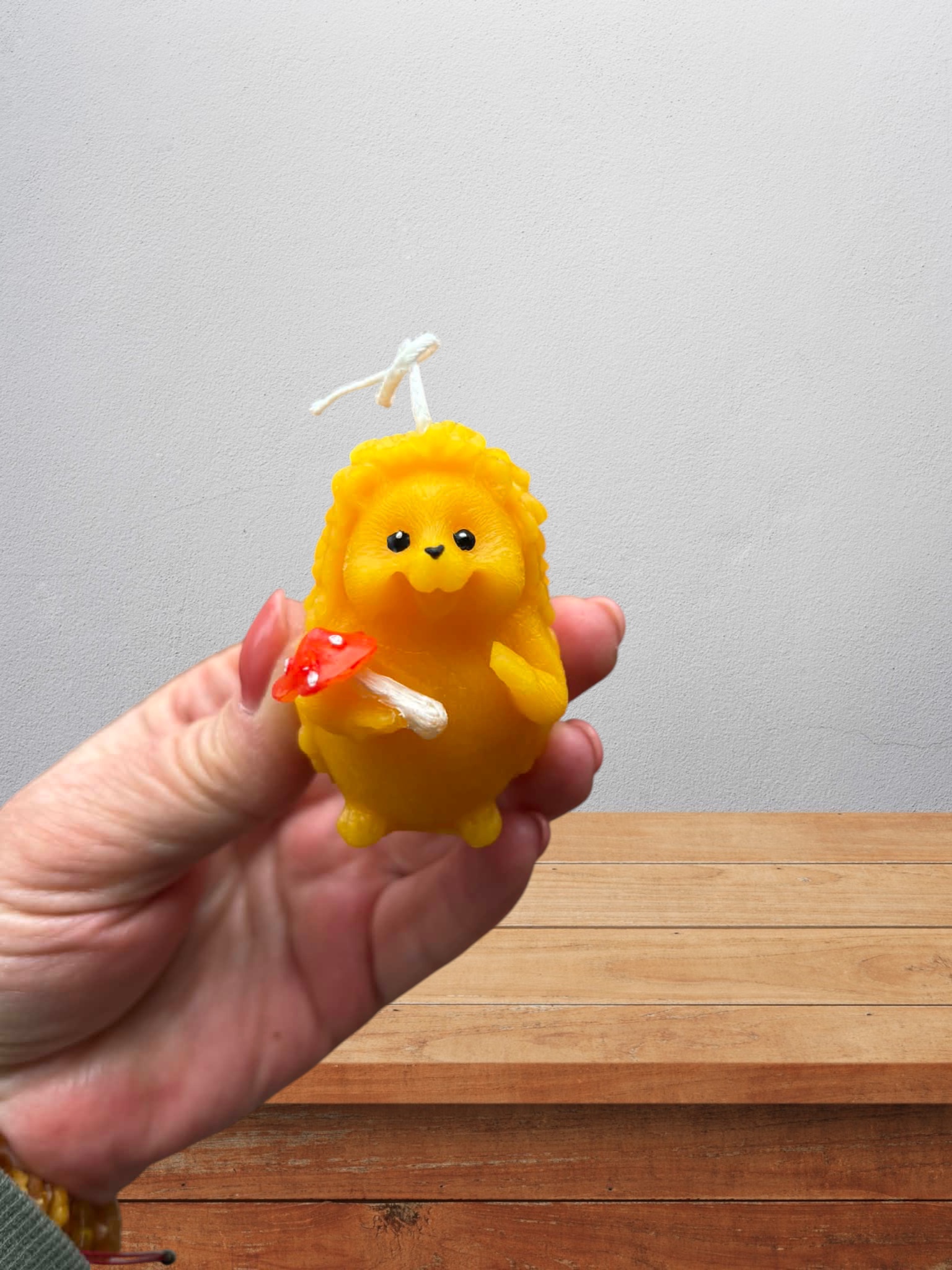 Pinnsvinet Pia - Bilde 3