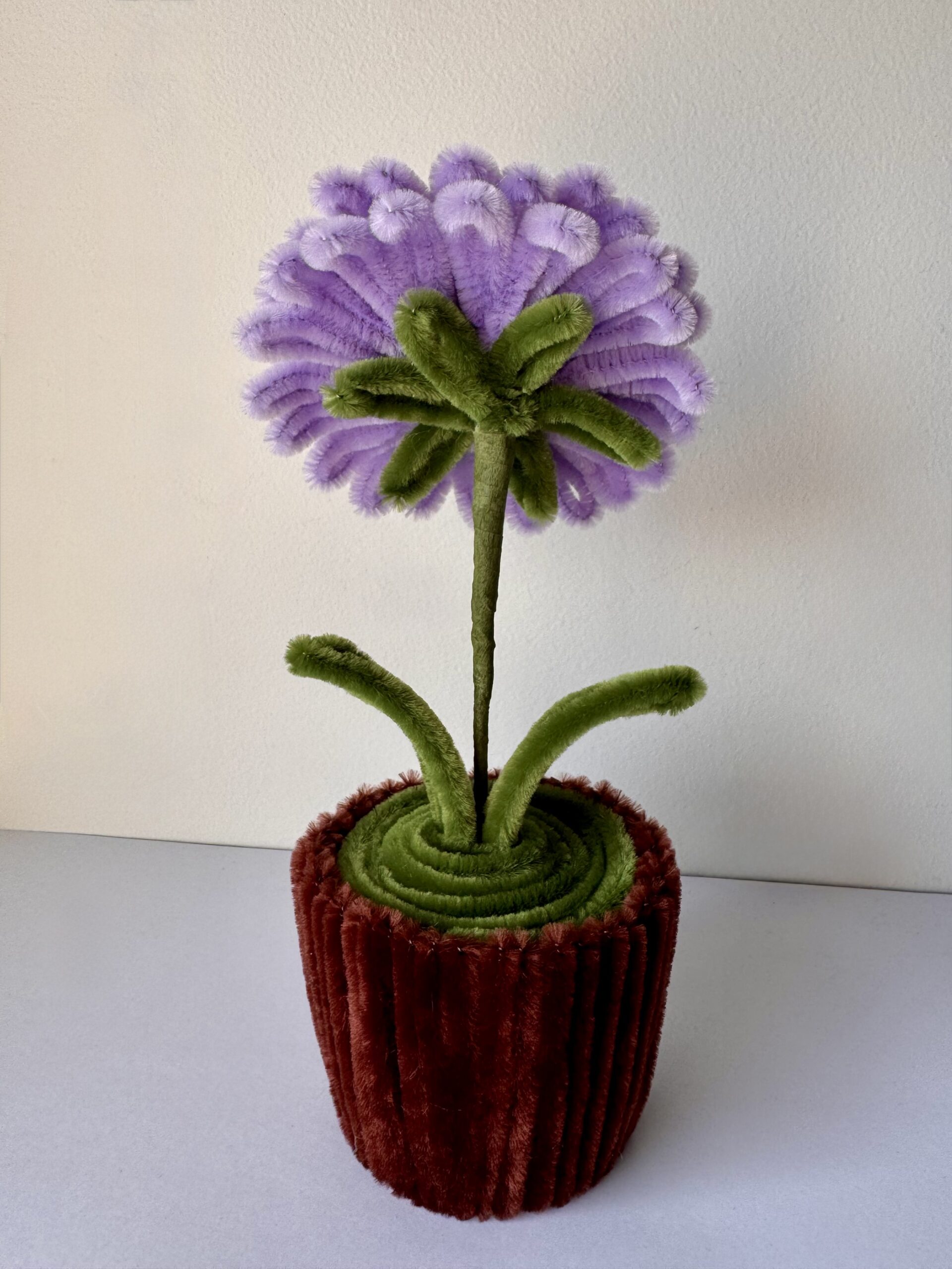 Lilla Gerbera blomst - Bilde 3