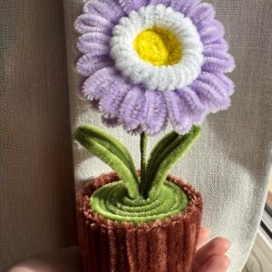 Lilla Gerbera blomst