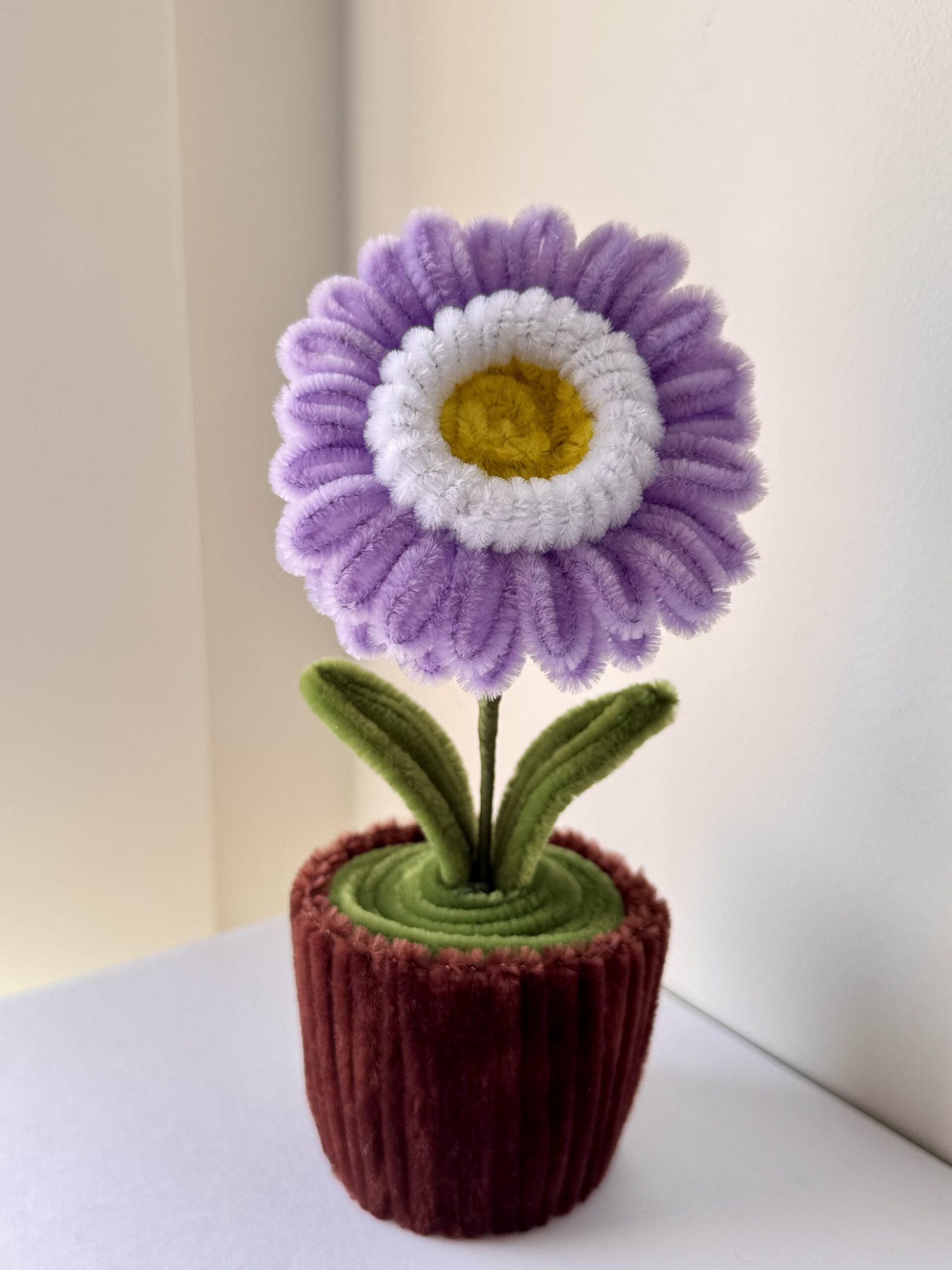 Lilla Gerbera blomst - Bilde 6