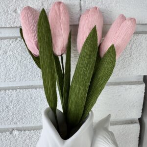 Tulipaner