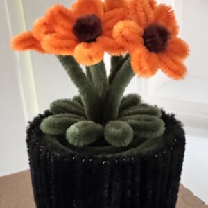 Oransje Daisy blomster i potte