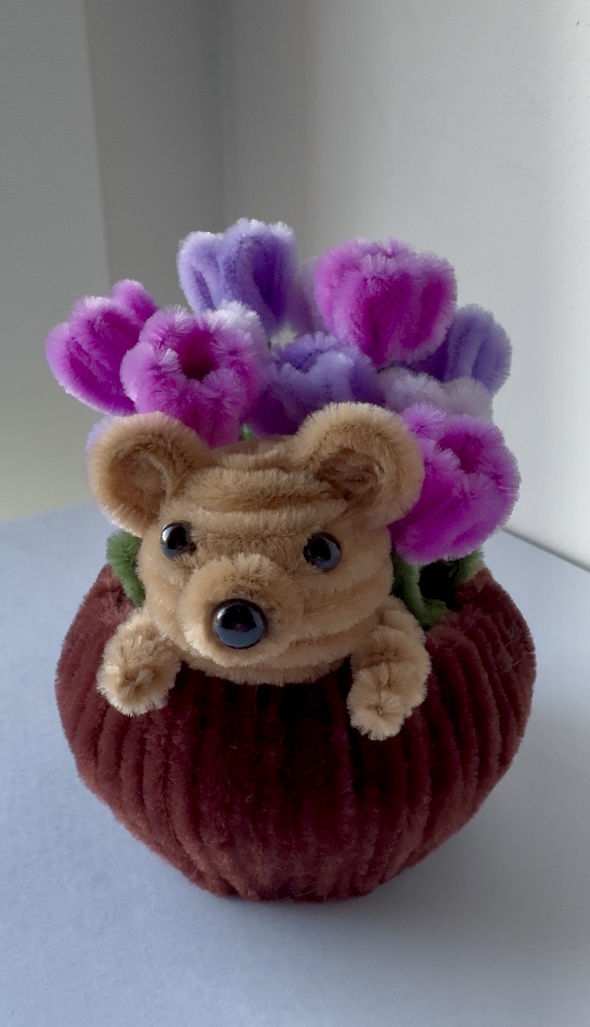 Teddybjørn og tulipaner i potte