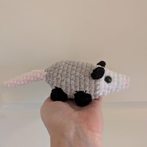 Possum