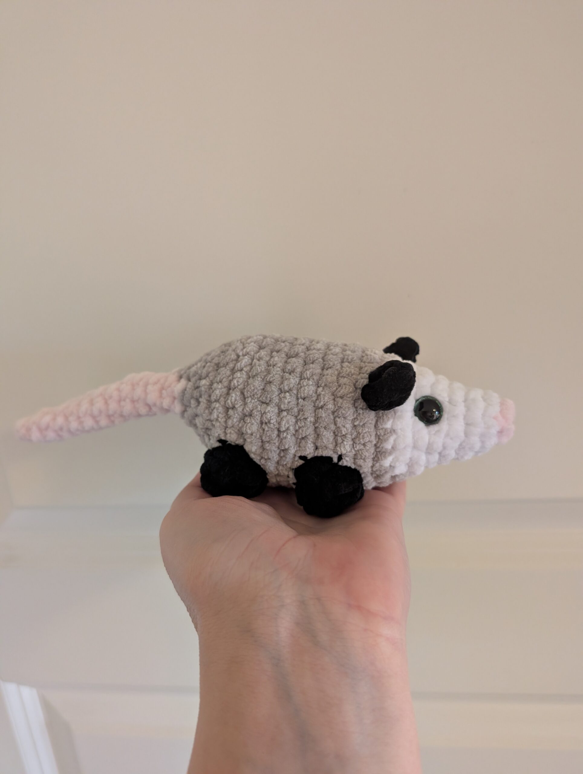 Possum
