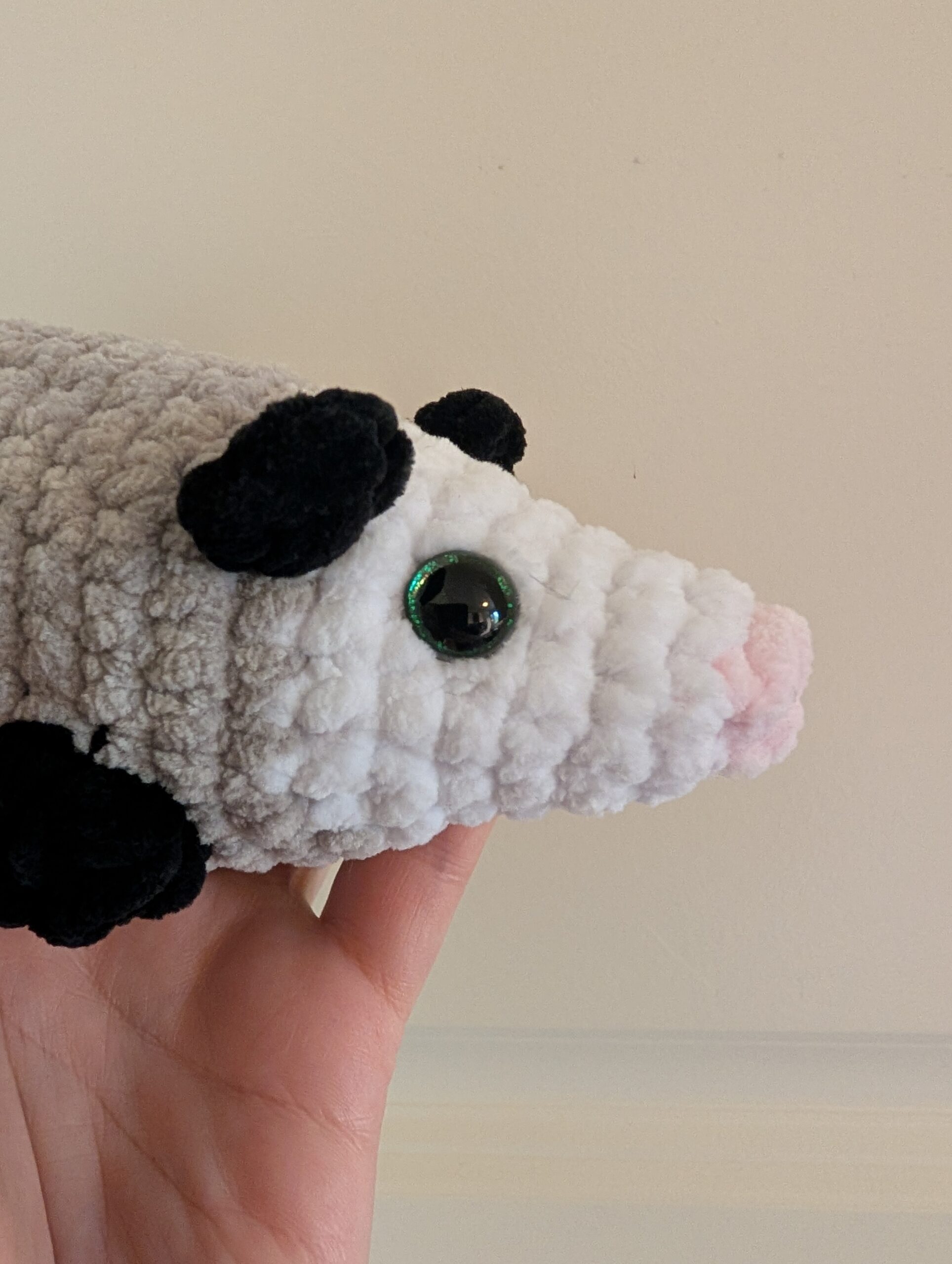 Possum - Bilde 2